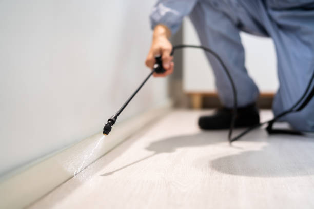 Licensed Pest Control service in McAdoo, PA - Show Me Pest Control