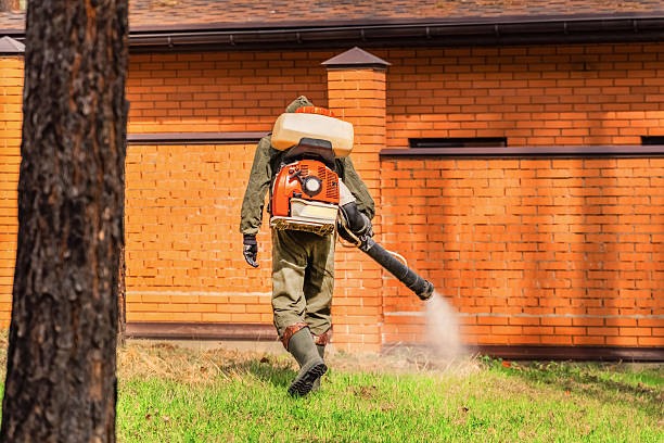 Bed Bug Clearance Verification and Documentation in McAdoo